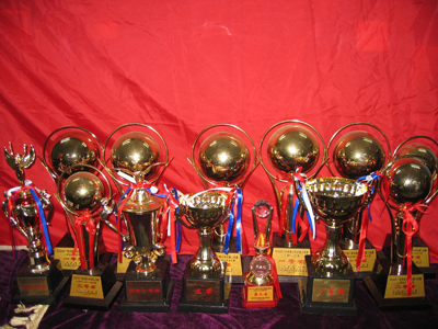 硕果累累——获得的部分成果